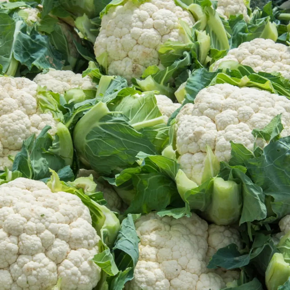 Cauliflower Cauliflower