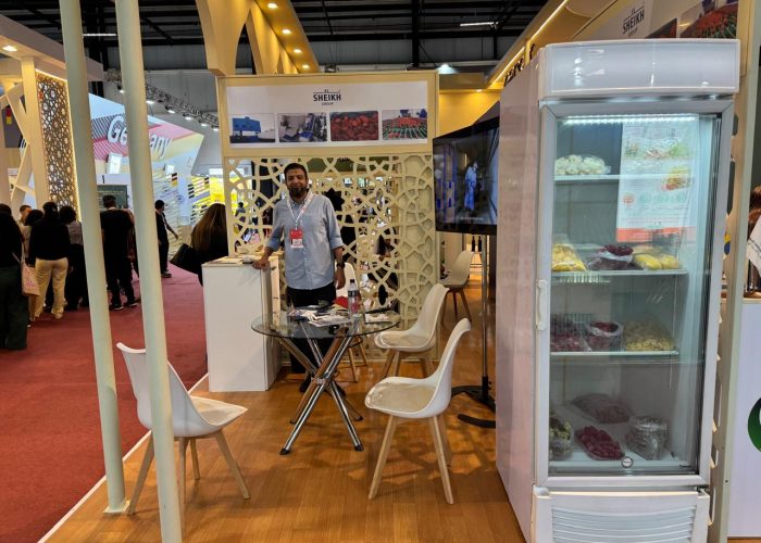 El Sheikh Group Looks to Expand Frozen Strawberry Exports to Brazil