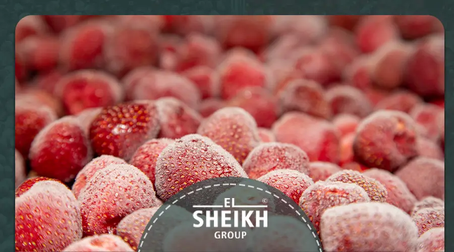 Frozen Strawberry in Egypt