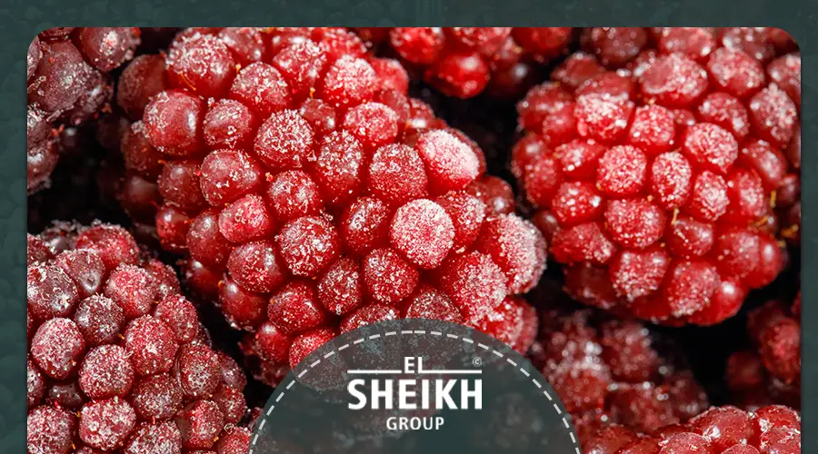 IQF frozen fruits in egypt 