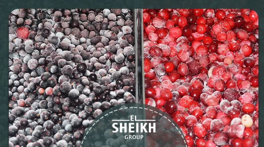 IQF frozen fruits in egypt