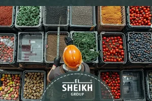 Preservation of vegetables and fruits in Egypt