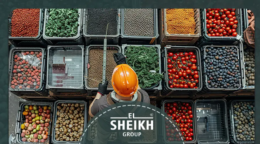 Preservation of vegetables and fruits in Egypt