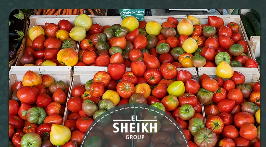 Egyptian company for food industries Egypt