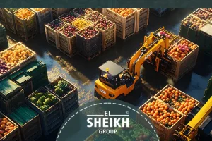 food export company In Egypt