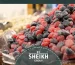 Frozen berries Egypt