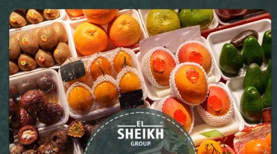 frozen fruits wholesale egypt